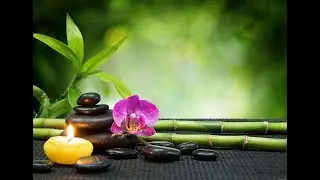 Meditation Music Alpha Waves: Relaxing Studying Music, Brain Power, Concentration Music No Copyright