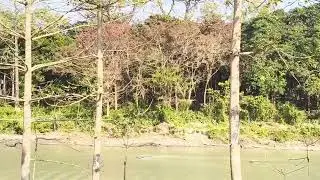 @SISAMARA RIVER VIEW FOREST VILLA.. Awesome ambience. Near stn falakata then Toto. Lovely place