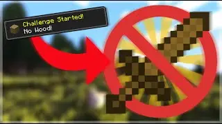 Minecraft, But I Can't Use Wood