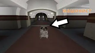 У меня новый телефон! Работаю машинистом в Roblox!