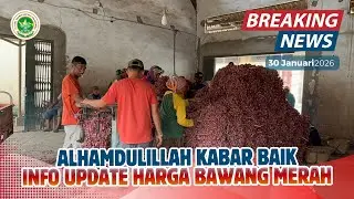 ALHAMDULILLAH KABAR BAIK … | INFO UPDATE HARGA BAWANG MERAH TERBARU 30/1/2026