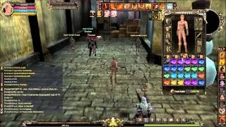 Shaiya Tactics The Best PvP Server