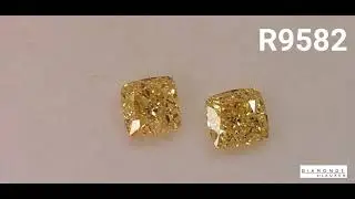 Canary Diamond Earrings R9582