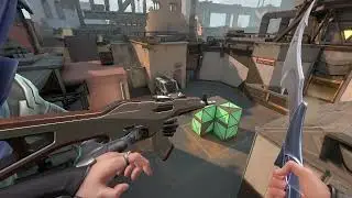 NEW *INSANE* BUG WITH SAGE AND OMEN IN BIND