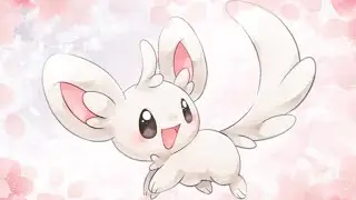 Minccino AMV - Havana