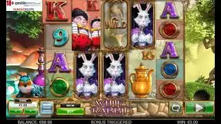 Сессия игровых автоматов Bonanza, Book Of Ra и White Rabbit