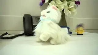 L'il Kitty White | Office Playground