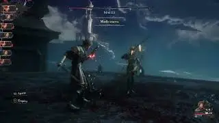 #003 &mdash; Ma&euml;lle (Porto de Lumi&egrave;re) &mdash; PERFECT PARRY &mdash; Zero Hit &mdash; Parry Master Gallery