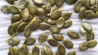 Naked seed pumpkin/oil pumpkin. Seeds for fresh eating /pumpkin for soup / Mail call.