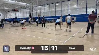 Dynasty 🌸 vs Flow