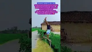&ldquo;Village Boy&rsquo;s Stick Gymnastics 🌟 | @AdventureTalesTelugu