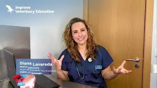 GPCert em Oncologia de Pequenos Animais