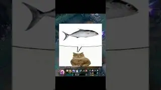 Zed pense pouvoir m&eacute;riter lux