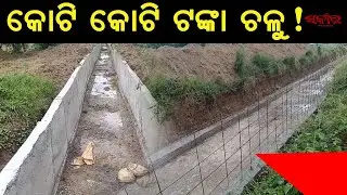Crore Canal Scam in Bhadrak, Odisha? Farmers Expose Poor-Quality Irrigation Work