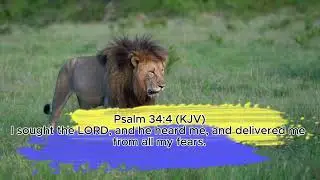 Sleep well with the line of Judah