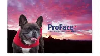 Change Photo Background | Professional Experts by Proface team