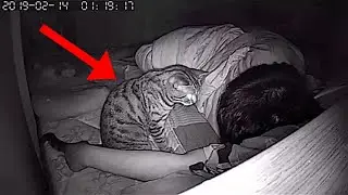 If Your Cat Does This, It&rsquo;s Protecting You from Evil Spirits!