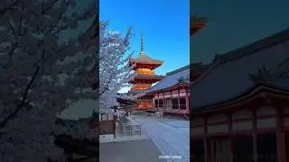 THE BEAUTY OF JAPAN 🇯🇵 | Japan edit | #shorts #lofi #japan #trending | Anushri wings