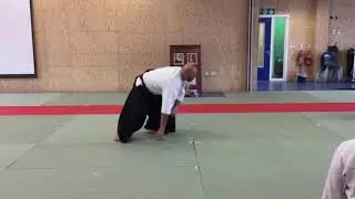Jacqui Holden - 8th Dan Aikido Fellowship of Great Britain