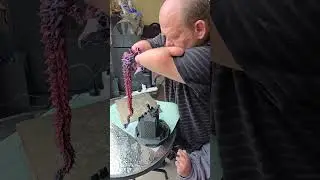 Кристаллический дракон длиной 2 фута