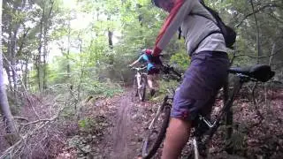 Diefenbach 2011