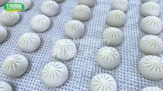 SY-700 Automatic soup dumpling machine