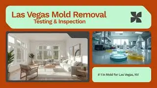 Las Vegas Mold Removal Testing & Inspection