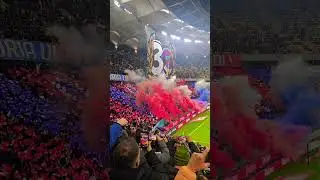 Coregrafie senzațională peluza nord ❤️💙💪💪