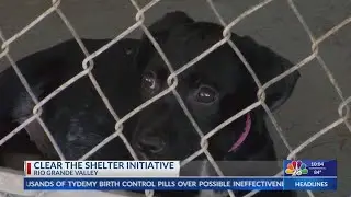 Clear the Shelters initiative