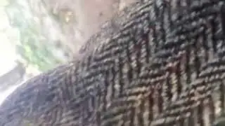 MysterEy1