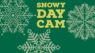 Boston-area snow day livecam and lofi beats (1/29/22)