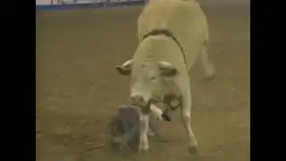 Bodacious Breaks Terry Don's Ribs - 94 RodeoHouston