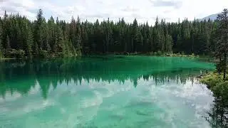 Loons Calling & Piano Music - Loon Calls For Relaxing