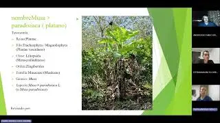 sustentación salida de campo botánica económica