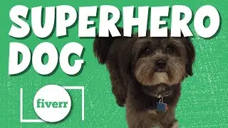 I Hired Photoshop Experts on Fiverr to make my dog a SUPER HERO