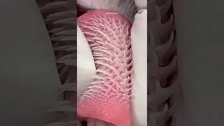 The Danger Of Cats Tongue!😯