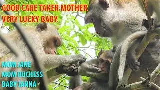 Good News!Baby Janna Is Very Lucky,Coz Mom Jane & Duchess Nurse & Care Baby Janna On Tree