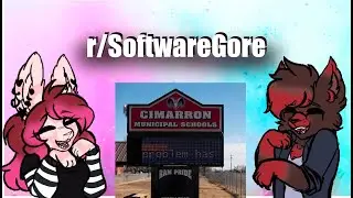 r/SoftwareGore | problem has
