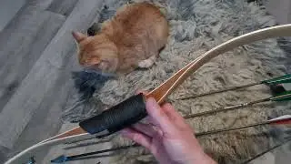 Reflexní luk Ragim Taiga custom 48