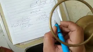 انواع ال  Attribute في مخطط شرح الERD