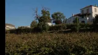 VILAR DE ANDORINHO
