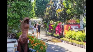 Take Flight Through One Of Our Nurseries!