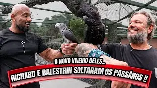 RICHARD PRECISOU FAZER UMA MUDANÇA NA CASA DOS BICHOS - BALESTRIN PRECISOU AJUDAR !!