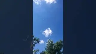 Cottonwood Falling like Snow in July