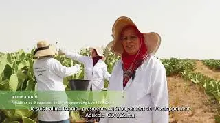 🌵 Impact Climatique sur le Figuier de Barbarie – تأثير المناخ على التين الشوكي 🌍
