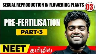 Pre Fertilisation 3| Sexual Reproduction In Flowering Plants 03 | BOTANY in Tamil | Class12/ NEET