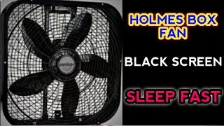 Drift into serenity with gentle black screen fan noise tonight 😴