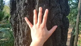 After the Australian Bush Fires... Bushfire VLOG