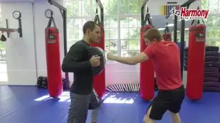 STRAIGHT PUNCH AND PALM HEEL STRIKE