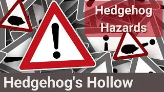 How to protect hedgehogs from hazards found in your garden | Hedgehog's Hollow